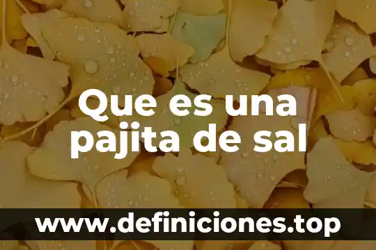 Para que es la sal en la pintura 3 Que es una pajita de sal