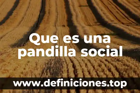 Que es responsabilidad social a nivel nacional 4 Que es una pandilla social