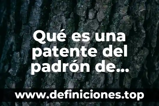 Qué es una patente del padrón de importadores