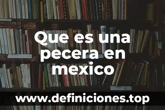 Que es la cfe mexico 6 Que es una pecera en mexico