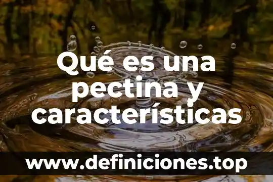 Que es la abstraccion geometrica y sus caracteristicas 7 Qué es una pectina y características