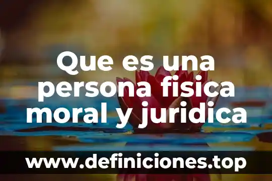 Que es mejor lanix x510 o x520 8 Que es una persona fisica moral y juridica