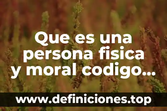 Que es el codigo penal del estado de veracruz 3 Que es una persona fisica y moral codigo civil veracruz
