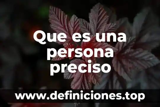 Que es una persona preciso