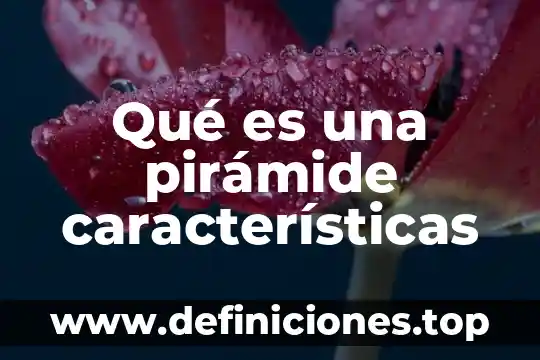 Qué es una pirámide características
