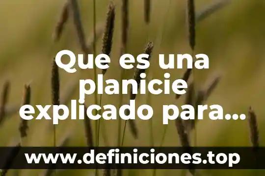Que es un adjetivos explicado para niños 4 Que es una planicie explicado para niños