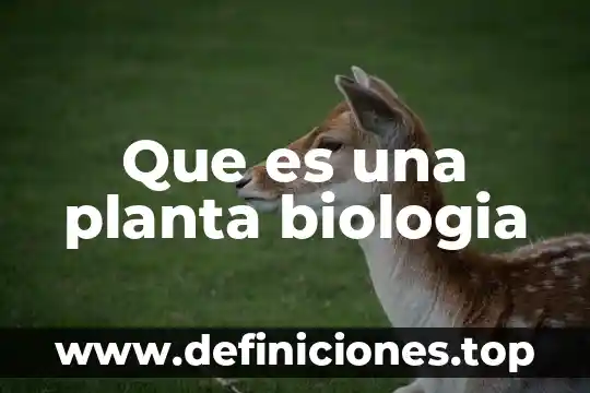Que es una planta biologia