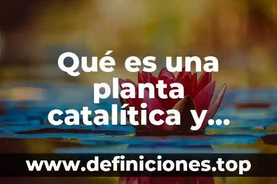 Qué es una planta catalítica y craqueo