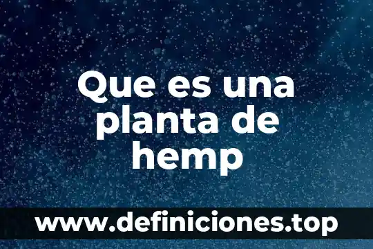 Que es una planta de hemp