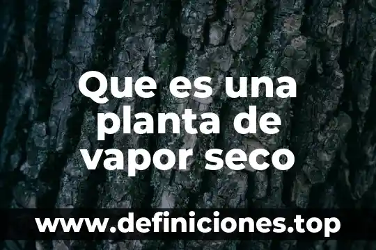 Que es una planta de vapor seco