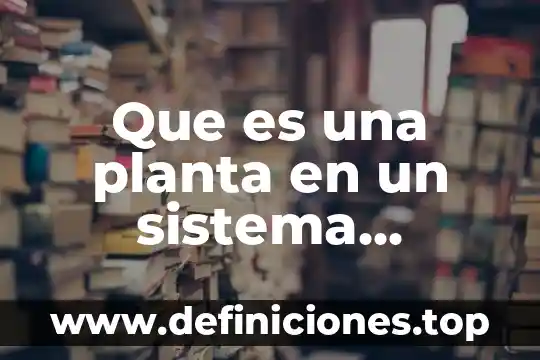 Que es un indicador en un proceso productivo 7 Que es una planta en un sistema productivo