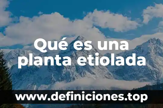 Qué es una planta etiolada