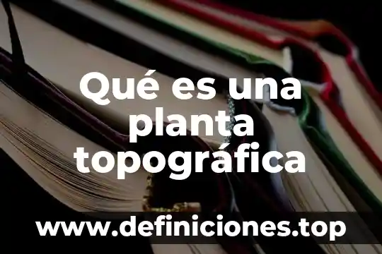 Qué es una planta topográfica