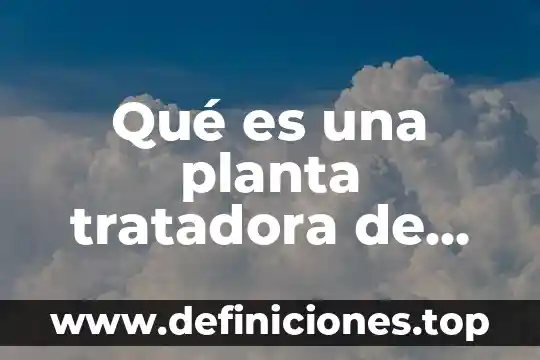 Que es la artemisa planta medicinal 3 Qué es una planta tratadora de aguas negras
