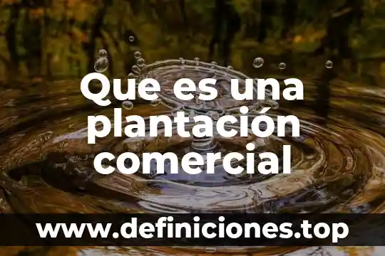Que es el preoducto interno bruto 6 Que es una plantación comercial