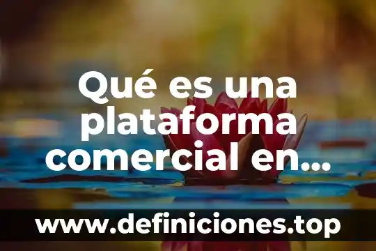 Que es el bloque comercial mer 6 Qué es una plataforma comercial en economía