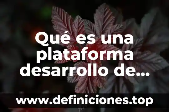 Que es plataforma virtual significado 3 Qué es una plataforma desarrollo de software
