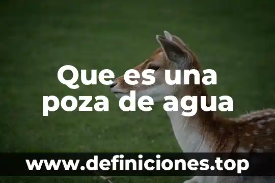 Qué es olla de agua 5 Que es una poza de agua