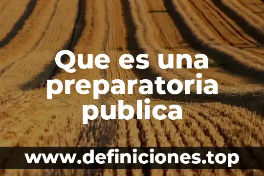 Que es el indice de reprobacion a nivel preparatoria 6 Que es una preparatoria publica