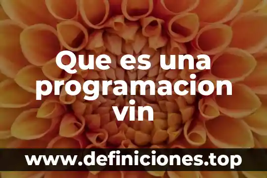 Que es jerarquia de consulta programacion 4 Que es una programacion vin