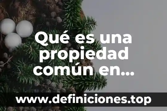 Qué es una propiedad común en filosofía