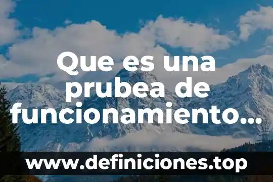 Que es el plc y funcionamiento 4 Que es una prubea de funcionamiento de software