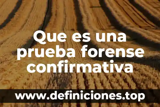 Que es auditoria forense en contabilidad 6 Que es una prueba forense confirmativa
