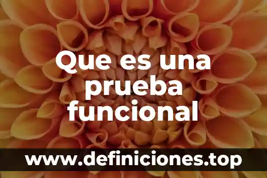 Que es un programa de seguridad y para que sirve 7 Que es una prueba funcional