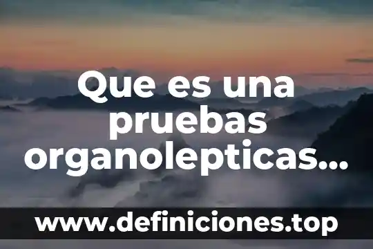 Que es una apertura de nuevos mercados 7 Que es una pruebas organolepticas en investigacion de mercados