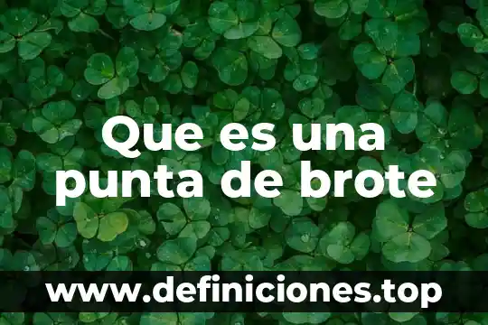 Que es la punta logica 8 Que es una punta de brote
