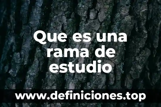 Que es la rama terminal y la rama colateral anatomia 4 Que es una rama de estudio