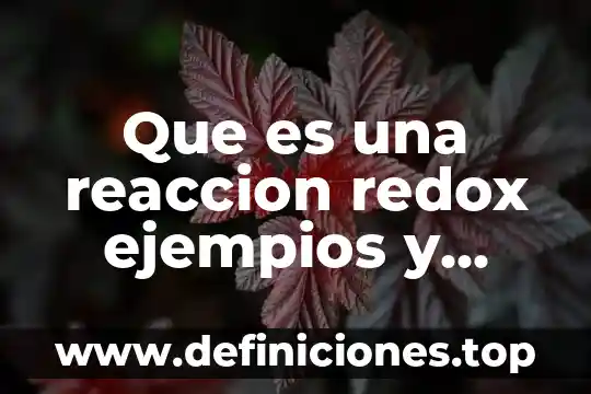 Que es la problematizacion en los procesos pedagogicos 3 Que es una reaccion redox ejempios y procesos