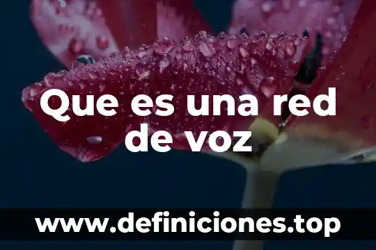 Que es una red de voz