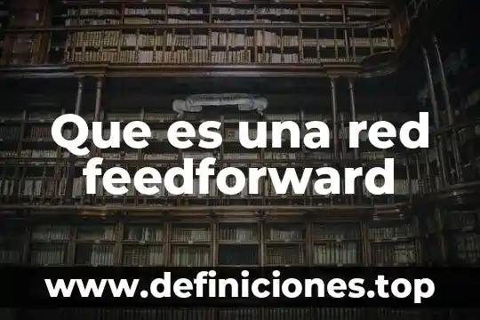 Que es una red feedforward