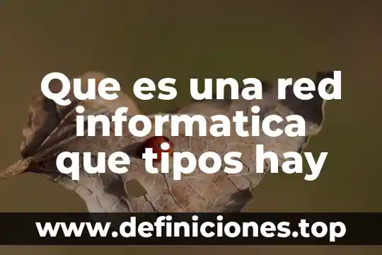 Que es inteligencia y que tipos hay 7 Que es una red informatica que tipos hay