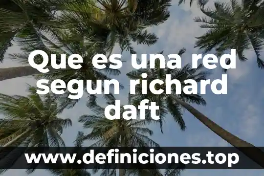 Que es una red segun richard daft