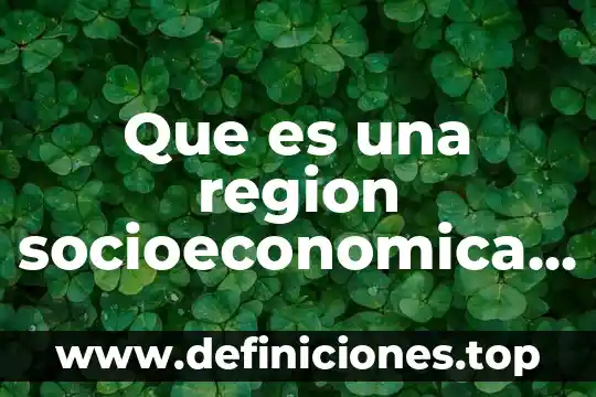 Que es una region socioeconomica concepto