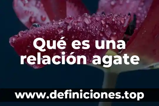 Que es lo importante en una relacion 5 Qué es una relación agate