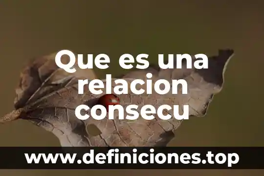 Que es una relacion consecu
