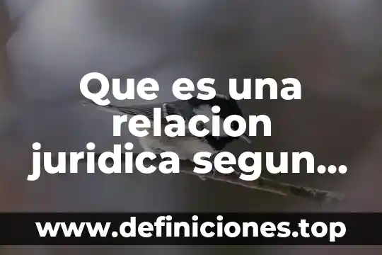 Que es una relacion juridica segun autores