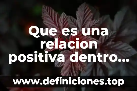 Que es la comunicacion efectiva en el aula 3 Que es una relacion positiva dentro del aula