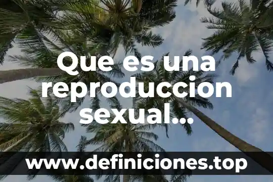 Que es una referencias bancarias ejemplos 7 Que es una reproduccion sexual ejemplos
