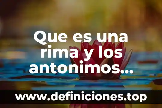 Que es la rima y tipos 4 Que es una rima y los antonimos para niños