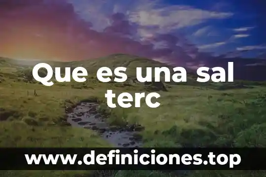Que es una sal terc