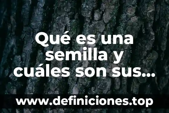Mujer y que es lo que sabes hacer 5 Qué es una semilla y cuáles son sus partes