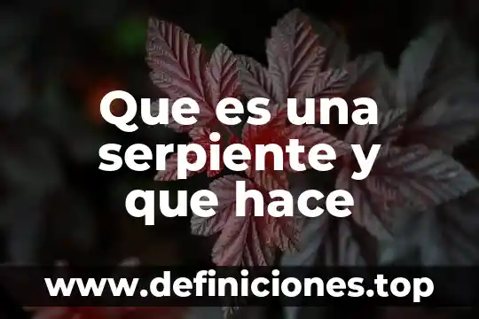 Que es una serpiente y que hace