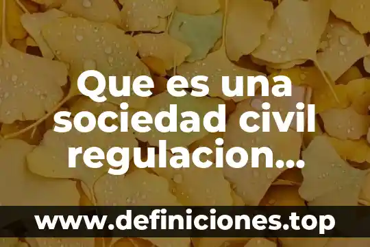 Que es el embargo precautorio civil 7 Que es una sociedad civil regulacion mexico