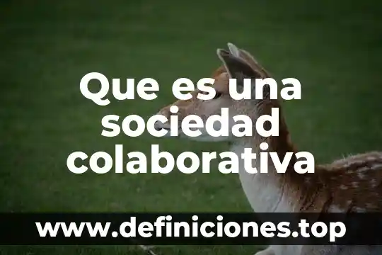 Que es una sociedad colaborativa