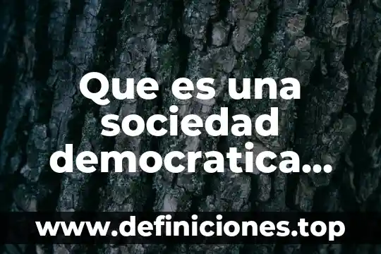 Que es una sociedad democratica para niños en mexico