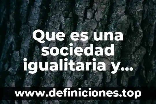 Que es una sociedad justa 5 Que es una sociedad igualitaria y justa